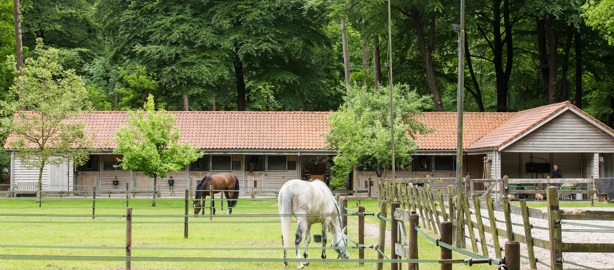 Reitzentrum mit Stallungen für (Gast) Pferde im Mansion Hotel Het Roode Koper in der Veluwe